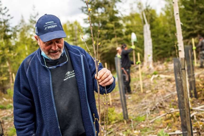Tree planting at ZILONIS